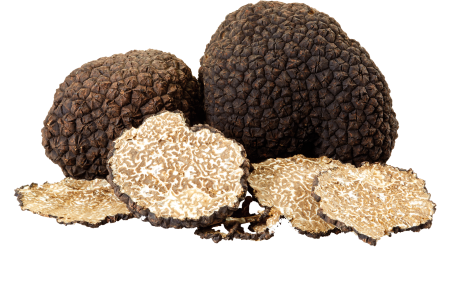 Truffles: An Underground Treasure